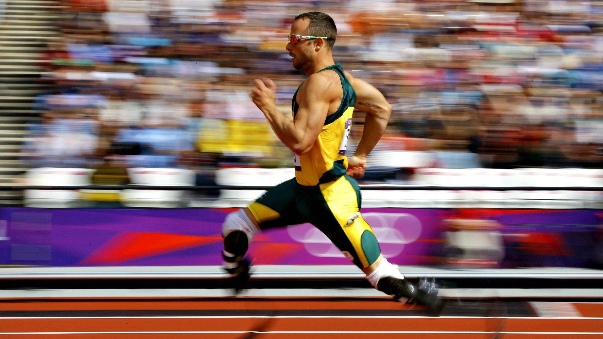 “拳击新星崛起：四川省体育馆拳击赛，年轻选手挑战老将，格局重塑”